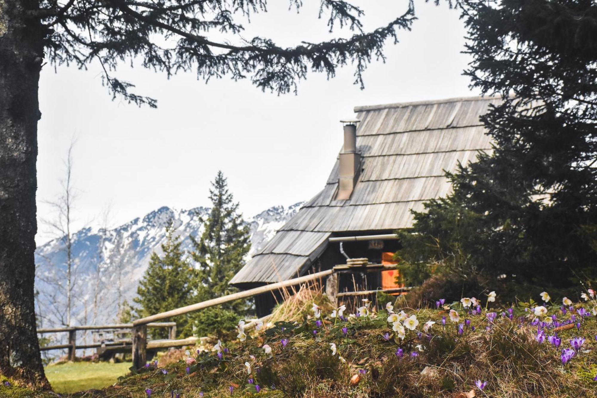 Velika Planina - Chalet Stane - Alps Stahovica Exterior photo