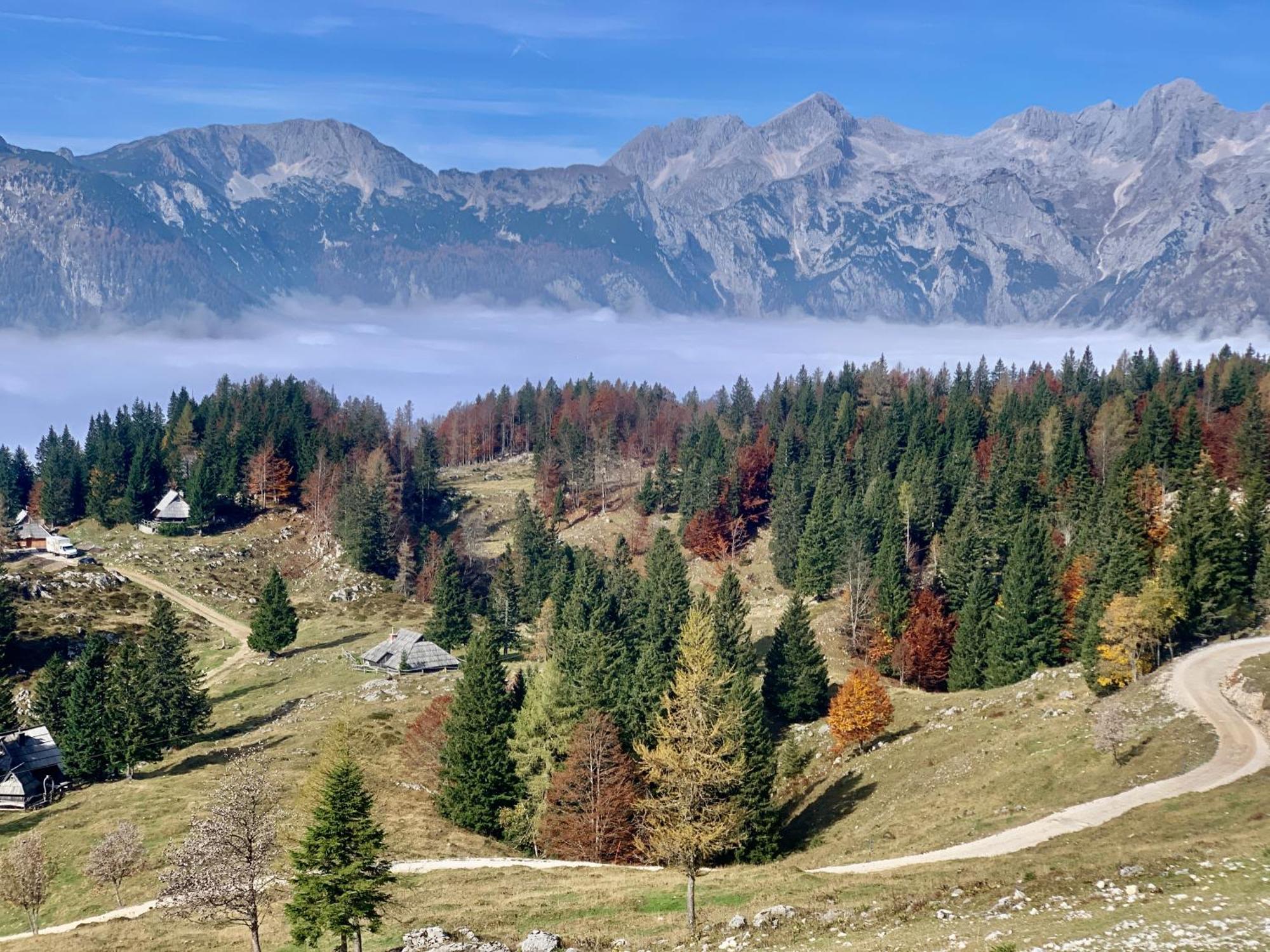 Velika Planina - Chalet Stane - Alps Stahovica Exterior photo