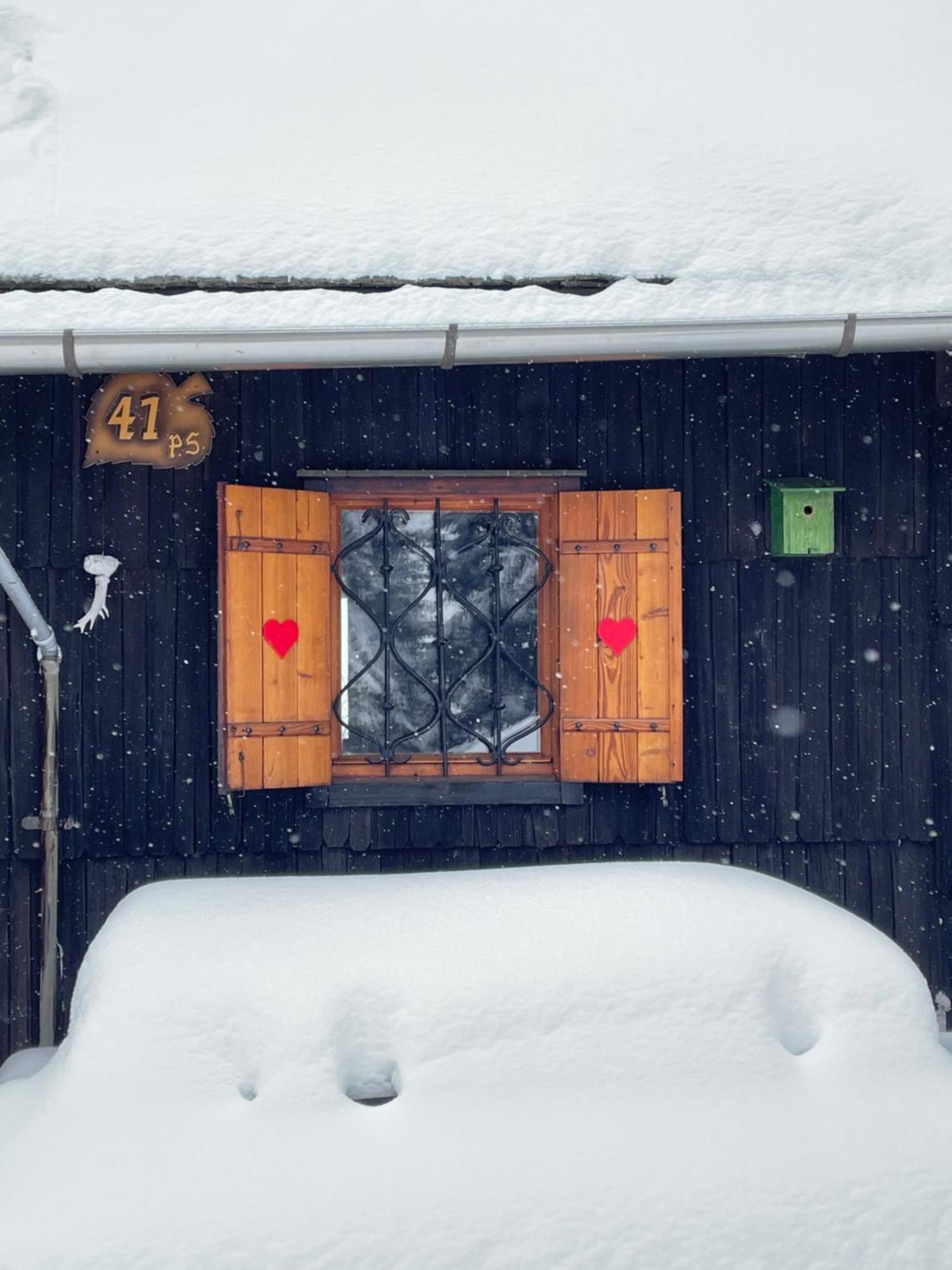 Velika Planina - Chalet Stane - Alps Stahovica Exterior photo