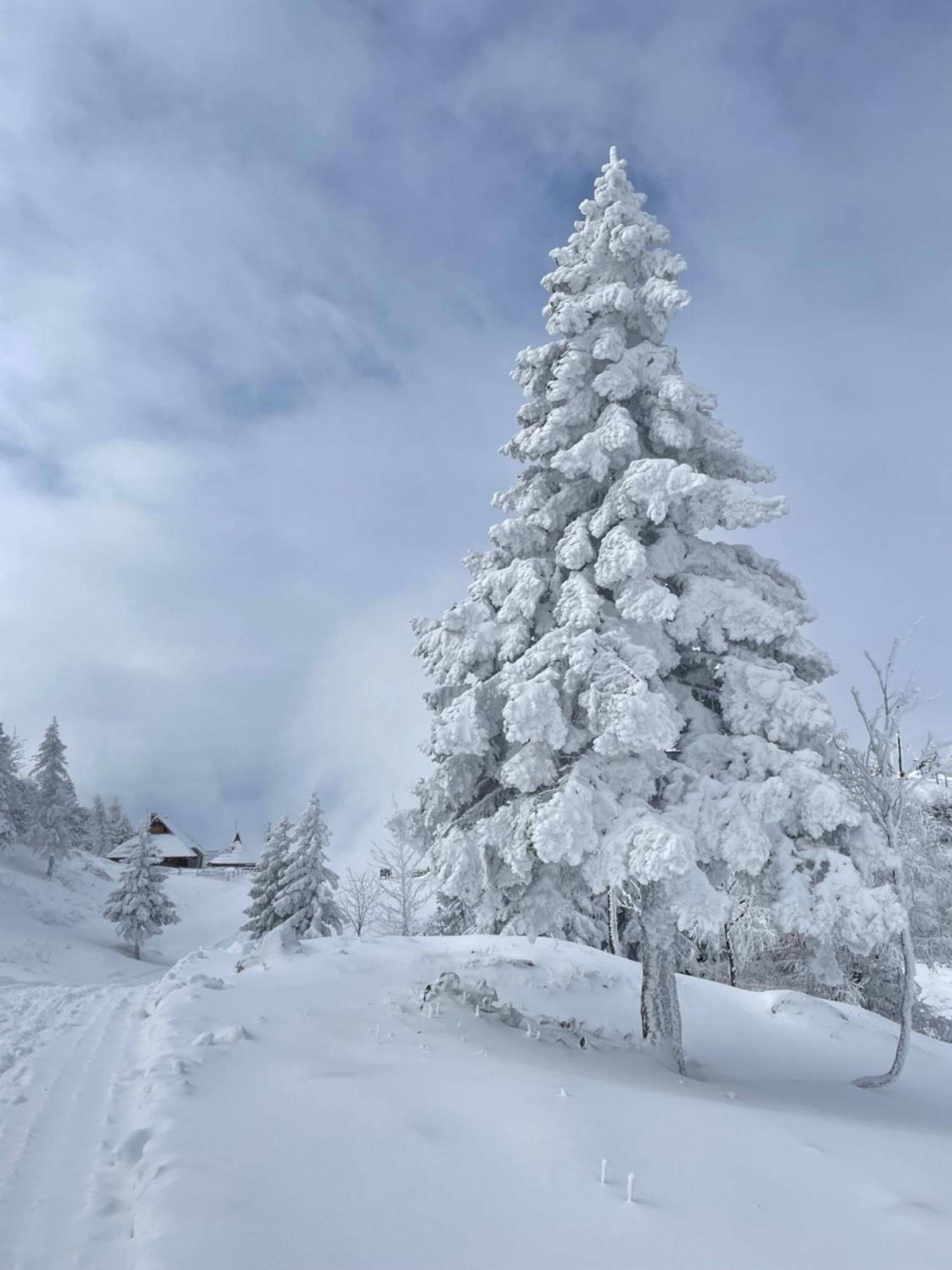 Velika Planina - Chalet Stane - Alps Stahovica Exterior photo