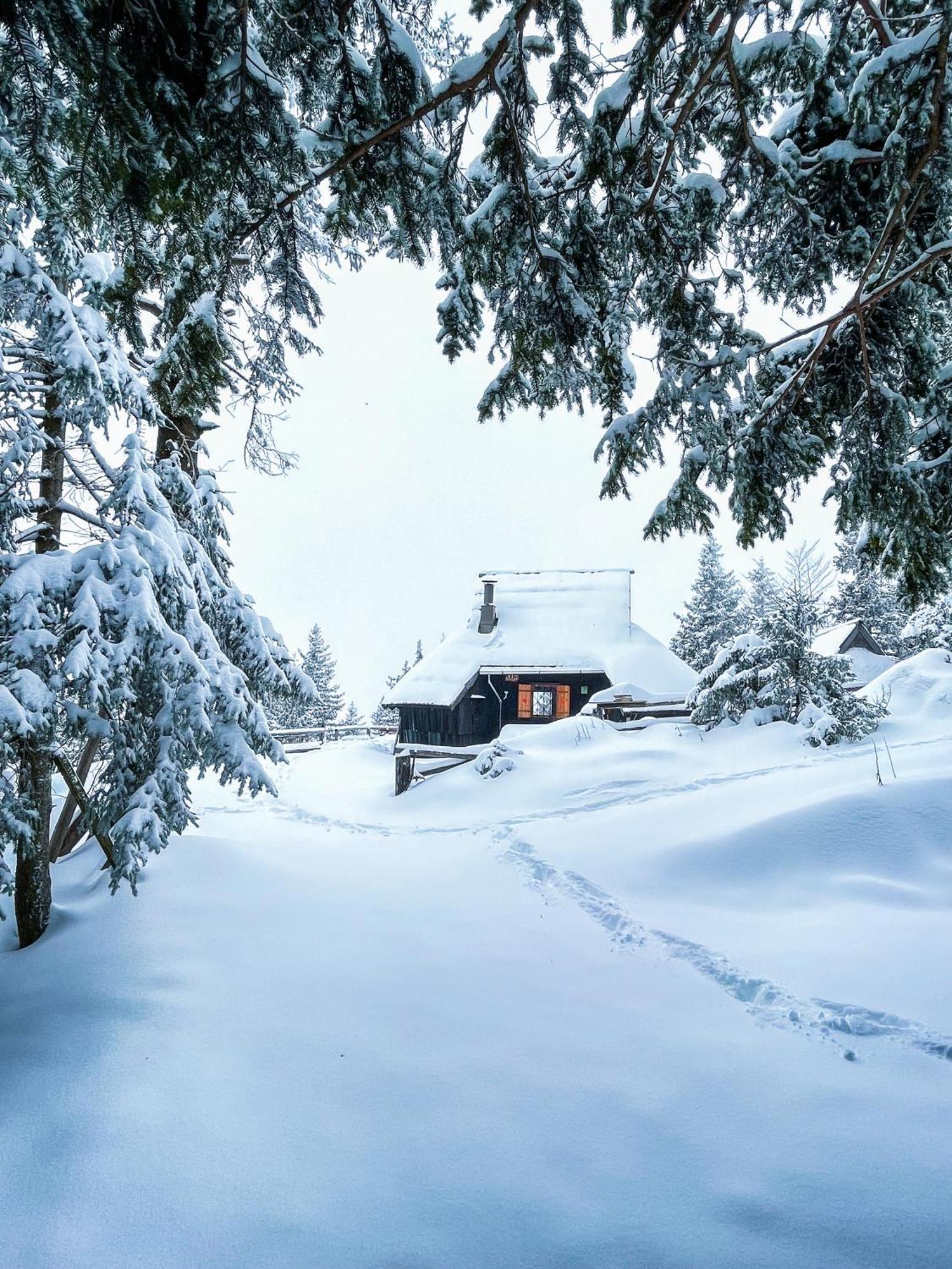Velika Planina - Chalet Stane - Alps Stahovica Exterior photo